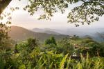 Image: Casa Oropendola - Santa Marta and Tayrona