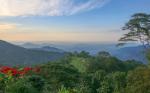 Image: Casa Oropendola - Santa Marta and Tayrona, Colombia