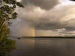 Image: Calanoa - Amazon and Orinoquia