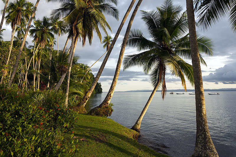 CR0418HG0307_playa-cativo-rainforest-trail.jpg [© Last Frontiers Ltd]