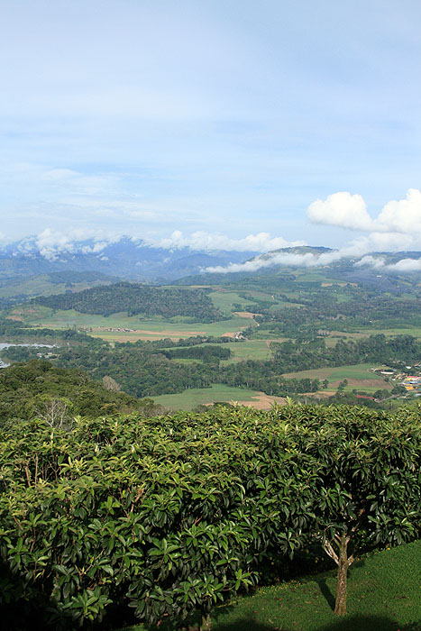 CR0509ED620_views-from-hacienda-tayutic.jpg [© Last Frontiers Ltd]