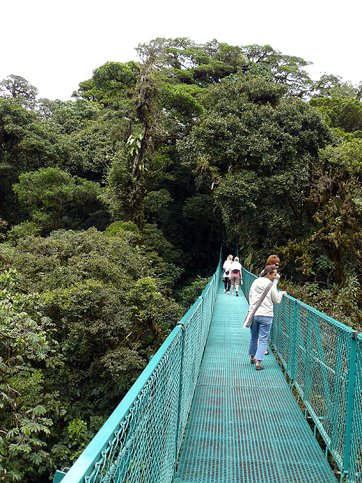 CR0510JF293_selvatura-monteverde.jpg [© Last Frontiers Ltd]