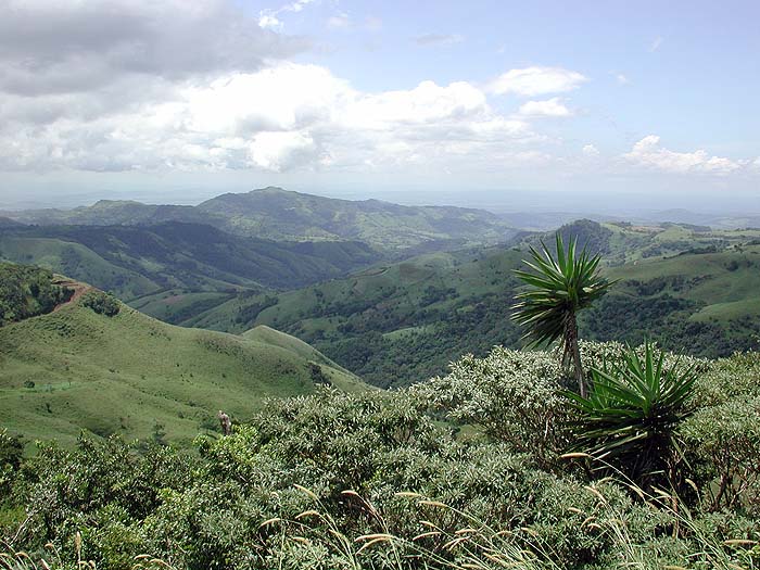 CR1002RH045_monteverde.jpg [© Last Frontiers Ltd]