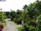 Rio Celeste Hideaway image