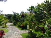 Rio Celeste Hideaway image