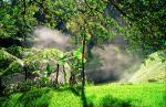 Image: Tabacn - Arenal and the North-east, Costa Rica