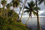 Image: Playa Cativo - The Osa Peninsula