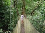 Image: Canopy Walk - Manuel Antonio and Uvita