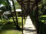 Image: Manatus Lodge - Tortuguero, Costa Rica