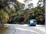 Image: Tortuguero - Tortuguero