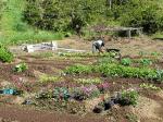 Image: El Silencio Lodge - The Central highlands