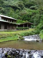 Image: Bosque de Paz - The Central highlands, Costa Rica