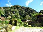 Image: Trogon Lodge - San Gerardo de Dota