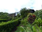 Image: Celeste Mountain Lodge - Rincn de la Vieja and Tenorio, Costa Rica