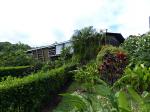 Image: Celeste Mountain Lodge - Rincn de la Vieja and Tenorio, Costa Rica