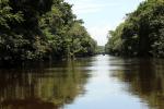 Image: Tortuguero - Tortuguero