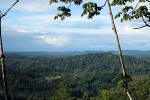 Image: Santa Juana Lodge - Manuel Antonio and Uvita, Costa Rica