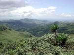 Monteverde - Monteverde, Costa Rica