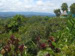 Image: Xandari - San Jos and surrounds, Costa Rica