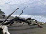 Image: El Remanso - The Osa Peninsula, Costa Rica