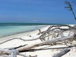 Image: Cayo Levisa - The Cayes