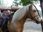 Image: Finca Kenia - Trinidad, Cuba