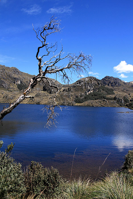 EC0608ED158_cajas-national-park.jpg [© Last Frontiers Ltd]