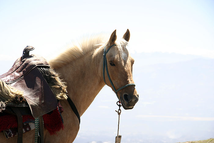 Riding in Ecuador image