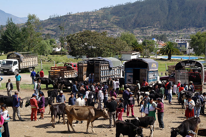 EC1012JL343_otavalo-market.jpg [© Last Frontiers Ltd]