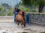 Hacienda Zuleta - Otavalo and surrounds, Ecuador