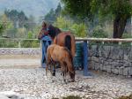 Image: Hacienda Zuleta - Otavalo and surrounds, Ecuador