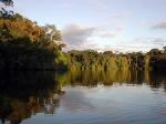 Image: La Selva - The Amazon, Ecuador