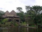 Image: La Selva - The Amazon, Ecuador