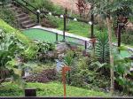 Image: Arasha - Mindo, Ecuador