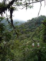 Image: Bellavista - Mindo, Ecuador