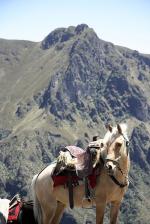 Image: Pichincha - Quito