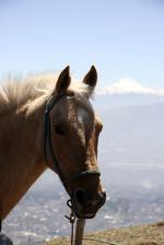 Image: Pichincha - Quito