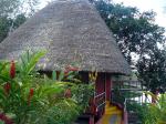 Image: Napo Wildlife Center - The Amazon, Ecuador