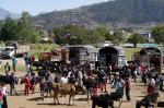 Otavalo animal market