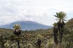 Image: El Angel Reserve - Otavalo and surrounds