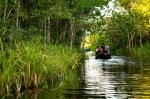 Image: Sacha Lodge - The Amazon