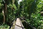 Image: Sacha Lodge - The Amazon, Ecuador