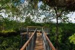 Image: Sacha Lodge - The Amazon, Ecuador