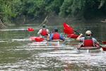 Image: Secoya Lodge - The Amazon