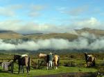 Hosteria Chilcabamba - Cotopaxi and Papallacta, Ecuador