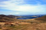 Image: Carcass Island - West Falkland