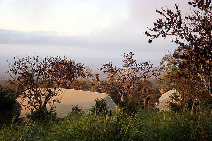 GP0908EP089_galapagos-safari-camp.jpg [© Last Frontiers Ltd]