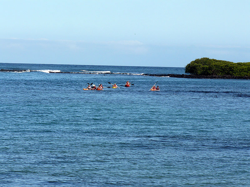 GP0917NL0059_finch-bay-kayakers.jpg [© Last Frontiers Ltd]