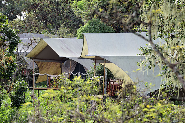 GP11GC49_galapagos-safari-camp-tent-exterior-12.jpg [© Last Frontiers Ltd]