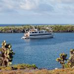 Image: Integrity - Galapagos yachts and cruises, Galapagos